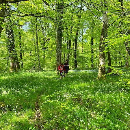 Maison Chaleureuse Avec Jardin - Pause Normande Sées Dış mekan fotoğraf